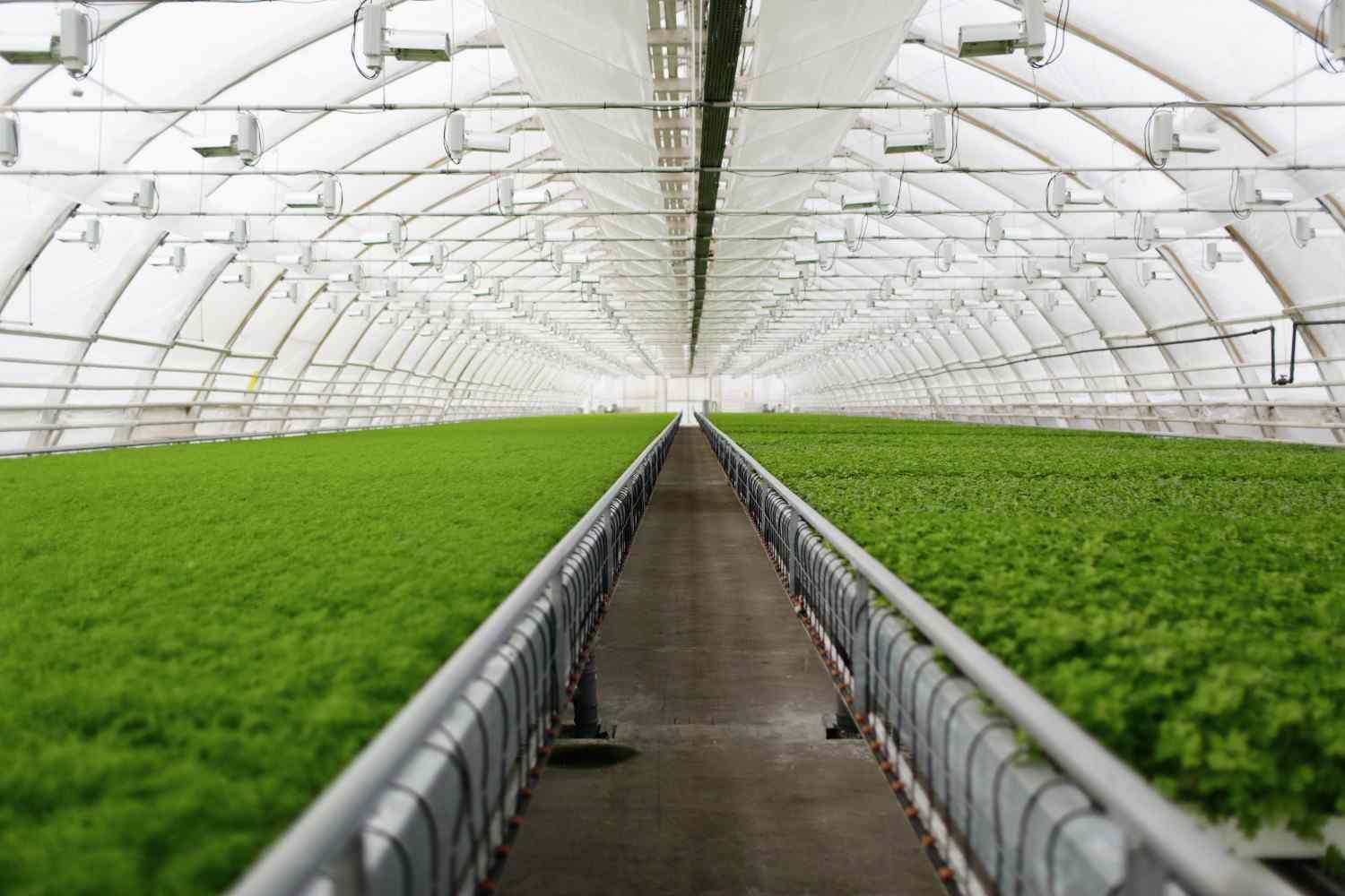 Steel in Agriculture: Applications in Irrigation, Storage, and Equipment